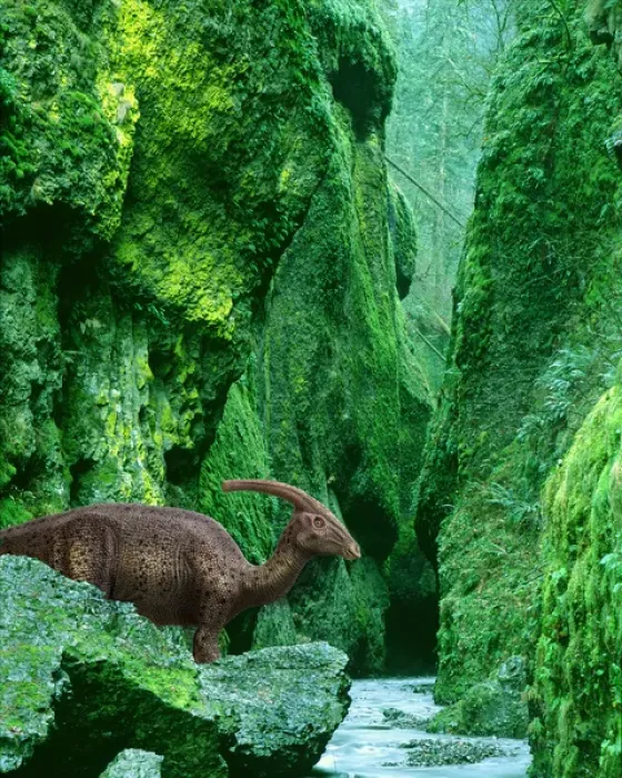 Framed Print : Concept of Parasaurolophus dinosaur in prehistoric canyon Framed Print : Concept of Parasaurolophus dinosaur in prehistoric canyon