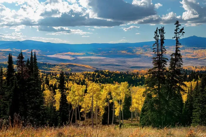 Framed Print : Continental Divide mountains and aspens, Colorado, Walden, USA