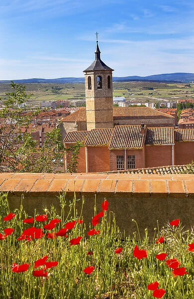 Convent Santa Maria, Convento de Santa Maria de Gracia Red Poppies Swallows Avila