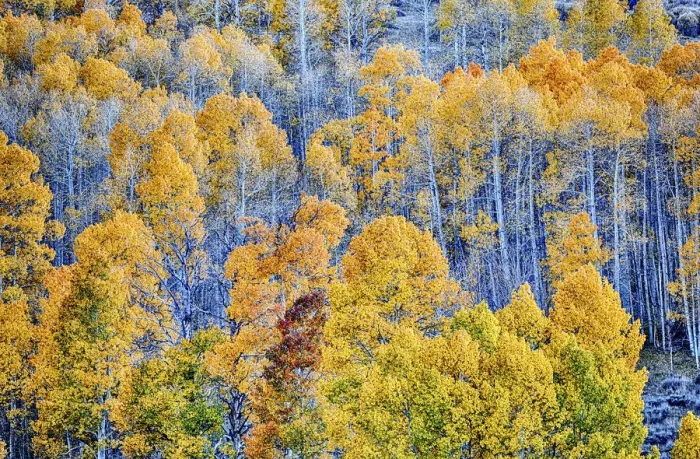 Framed Print : Conway Pass; Lee Vining; Mono county; USA; California