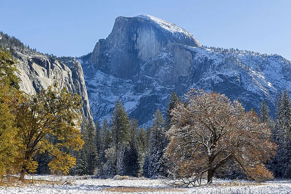 Cooks Meadow. Autumn first snow in Yosemite National Park, California, USA