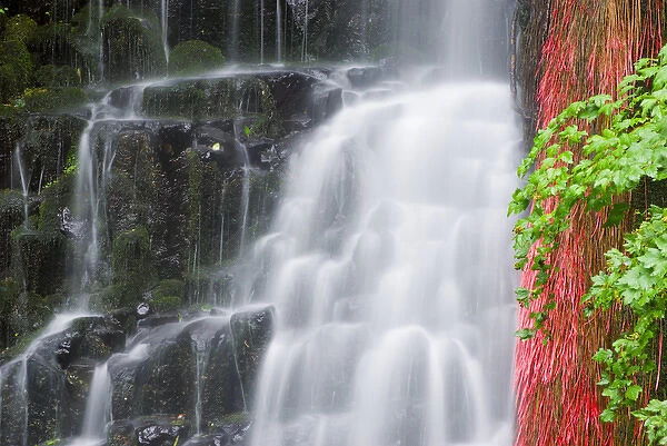 Coopey Falls, Columbia River Gorge National Scenic Area, Oregon USA