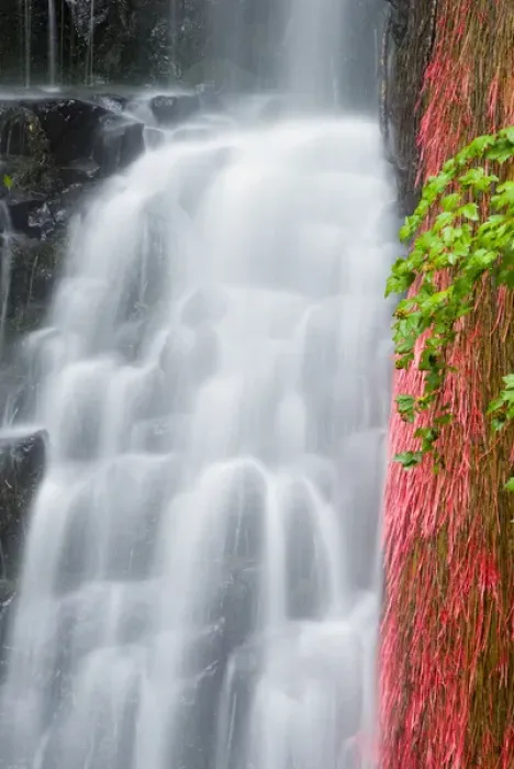 Framed Print : Coopey Falls, Columbia River Gorge National Scenic Area, Oregon USA
