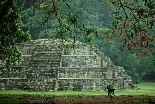 Copan, Honduras, Maya, Royal Tomb