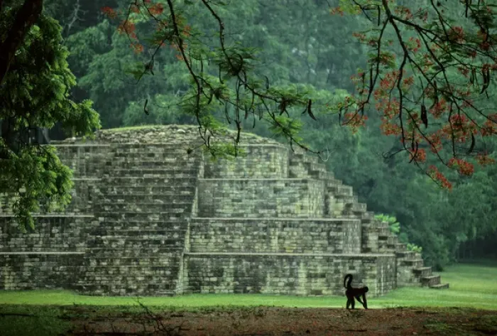 Framed Print : Copan, Honduras, Maya, Royal Tomb Framed Print : Copan, Honduras, Maya, Royal Tomb