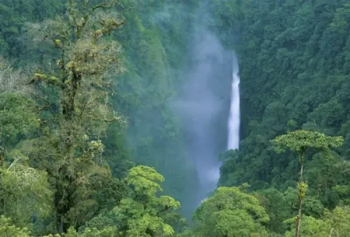Framed Print : Cordillera Central, Angel (Congo) Falls, many waterfalls on Caribbean slope, Costa RIca Framed Print : Cordillera Central, Angel (Congo) Falls, many waterfalls on Caribbean slope, Costa RIca