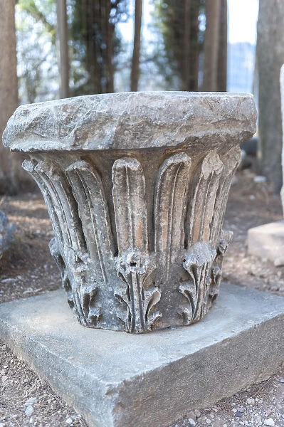 Detail of Corinthian column, Delphi, Greece, Europe