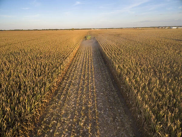 Corn harvest, John Deere combine harvesting cornl, Marion County, Illinois