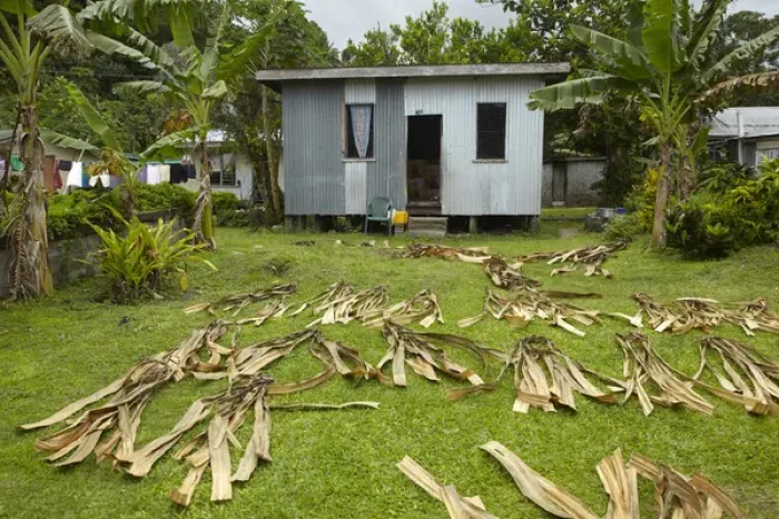 Framed Print : Corrugated iron house and drying leaves, Namaqumaqua village, Coral Coast, Viti Levu