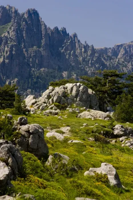 Framed Print : Corsica. France. Europe. Granite boulders, gorse in bloom, and pinnacles of Aiguilles de Bavella Framed Print : Corsica. France. Europe. Granite boulders, gorse in bloom, and pinnacles of Aiguilles de Bavella