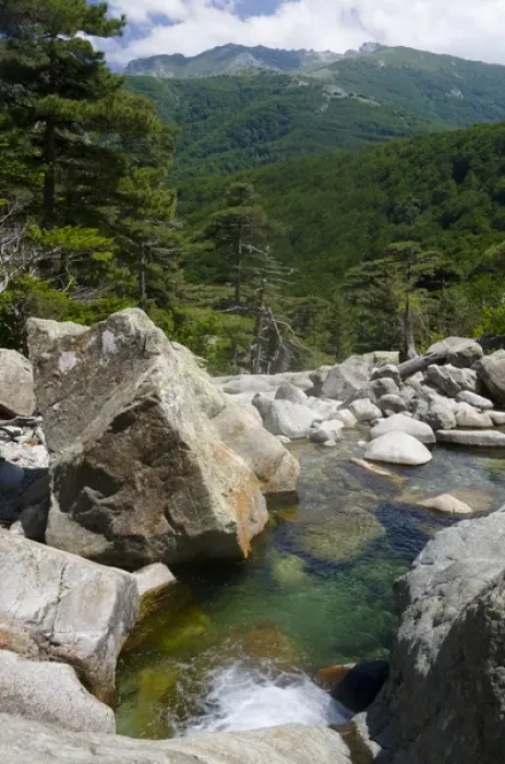 Framed Print : Corsica. France. Europe Pool of clear water & granite boulders below forest of