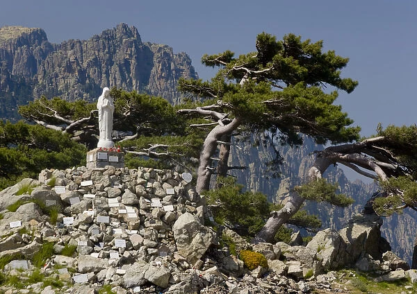 Corsica. France. Europe. Wind-shaped laricio pines & shrine to Our Lady of the Snows