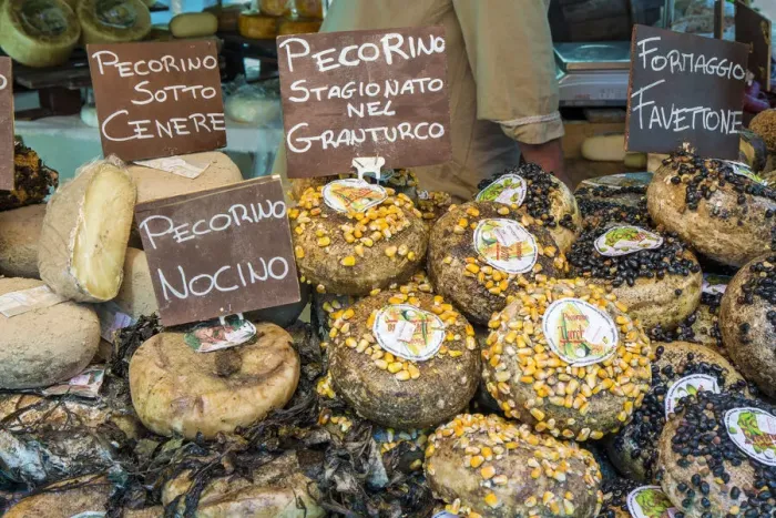 Framed Print : Cortona, Italy. Pecorino Sotto Vinaccia cheese rounds aged under straw