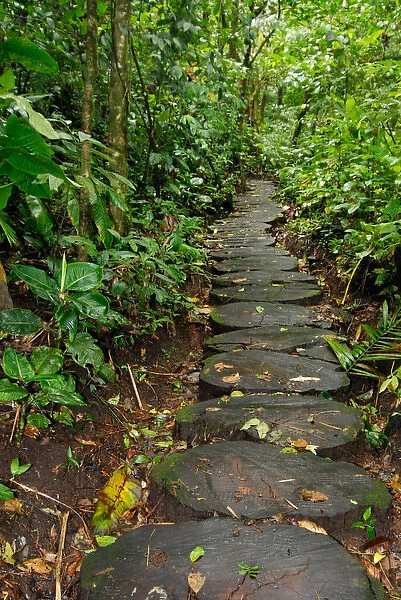 Costa Rica, Arenal Hanging Bridges, rainforest path