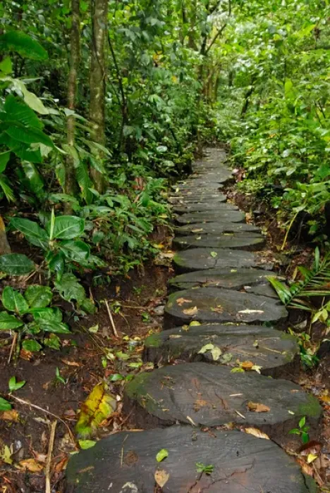 Framed Print : Costa Rica, Arenal Hanging Bridges, rainforest path