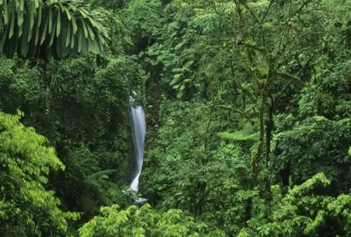 Framed Print : Costa Rica, Arenal Volcano area, Hanging Bridges trail, rainforest private reserve
