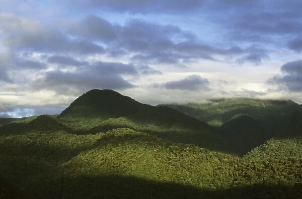 Costa Rica, Braulio Carrillo National Park, sunrise over rainforest