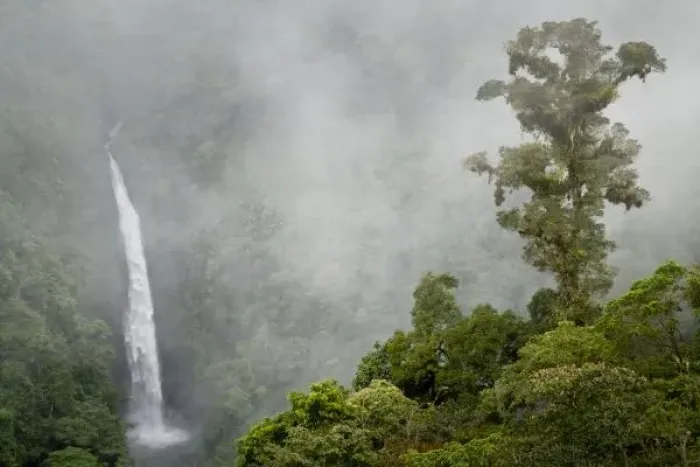 Framed Print : Costa Rica, cloud forest in mountains near La Paz, San Fernando Waterfall Framed Print : Costa Rica, cloud forest in mountains near La Paz, San Fernando Waterfall
