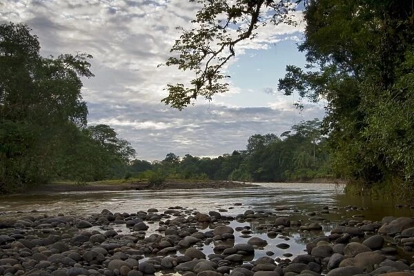 Costa Rica, environment, natural beauty, peaceful, rainforest, river, rushing, Sarapique River