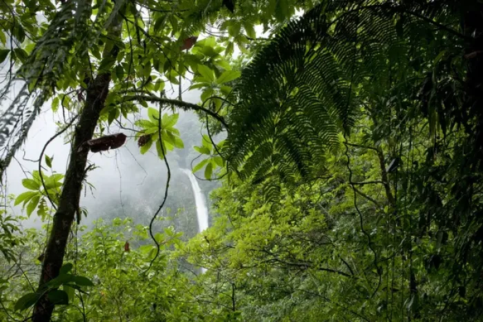 Framed Print : Costa Rica, La Fortuna, Waterfall in rainforest along Fortuna River