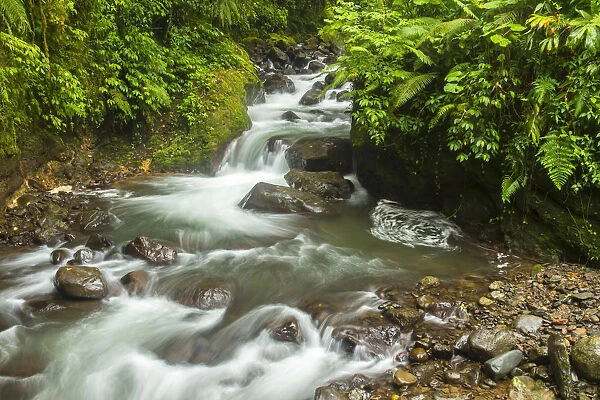 Costa Rica, La Paz River Valley. Rainforest stream in La Paz Waterfall Garden. Credit as