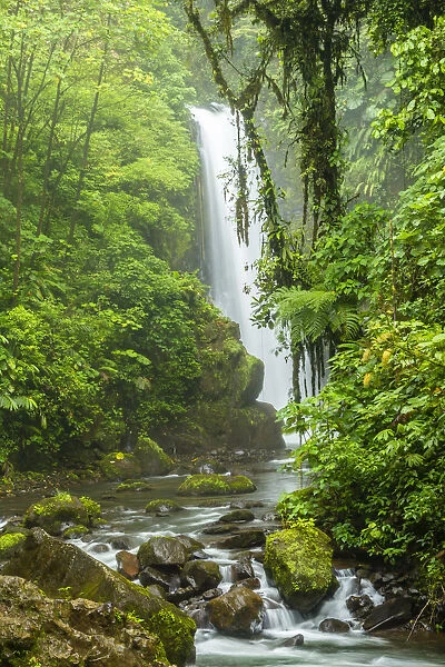 Costa Rica, La Paz River Valley, La Paz Waterfall Garden. Rainforest waterfall and stream