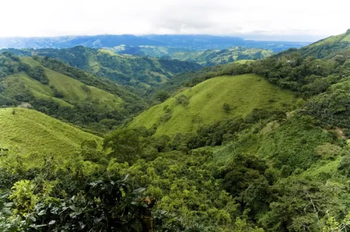 Framed Print : Costa Rica - Los Angeles Cloud Forest Reserve