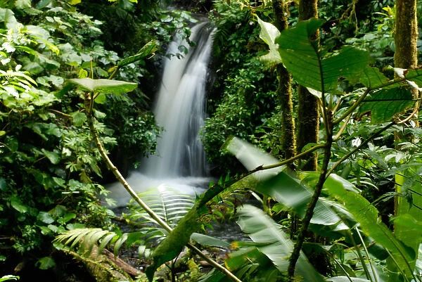 Costa Rica, Monteverde cloud forest waterfall