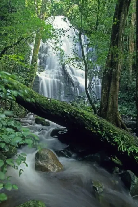 Framed Print : Costa Rica, Rincon de la Vieja, Las Pailas Waterfall, seasonal waterfalls in dry forest area