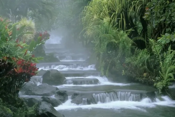 Framed Print : Costa Rica, Tabacon Hot Springs, below Arenal Volcano, tropical vegetation along