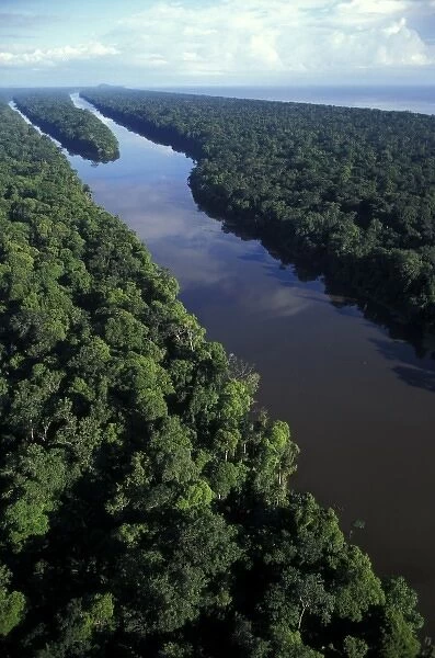 Costa Rica, Tortuguero National Park, Aerial of canals and rainforest