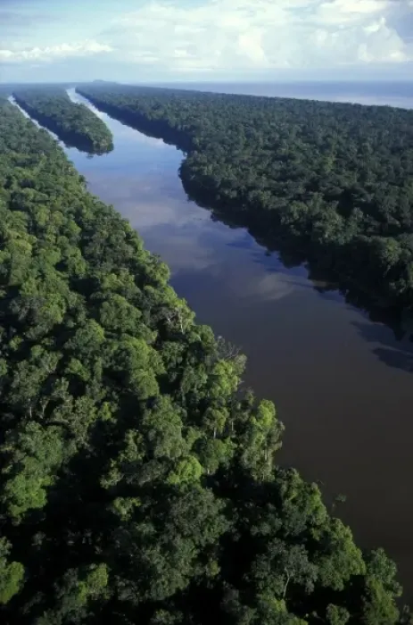 Framed Print : Costa Rica, Tortuguero National Park, Aerial of canals and rainforest Framed Print : Costa Rica, Tortuguero National Park, Aerial of canals and rainforest