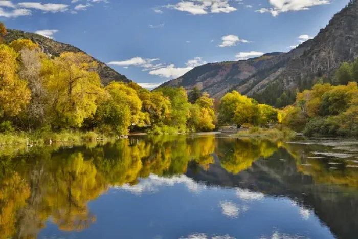 Framed Print : Cottonwoods, Maple and oak trees in fall color along Logan River, Utah, in the Wasatch