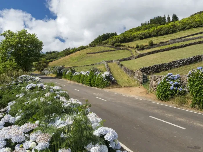 Framed Print : Country road in the interior of the Terceira Island, Azores, Portugal Framed Print : Country road in the interior of the Terceira Island, Azores, Portugal