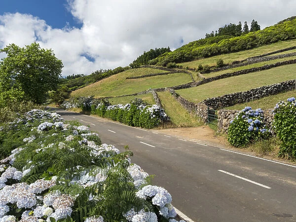 Country road in the interior of the Terceira Island, Azores, Portugal