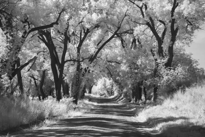 Framed Print : Country Road in Kansas, infrared photo Framed Print : Country Road in Kansas, infrared photo