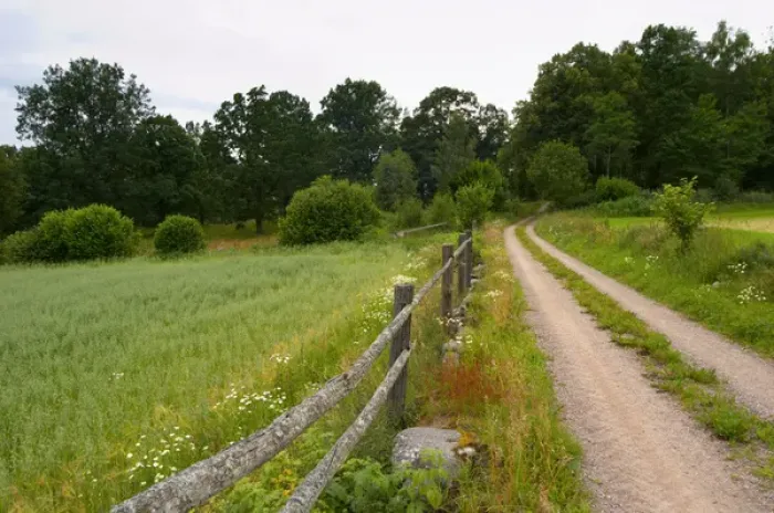 Framed Print : Country road, wooden fence and field. Through the forest. Smaland region. Sweden, Europe Framed Print : Country road, wooden fence and field. Through the forest. Smaland region. Sweden, Europe