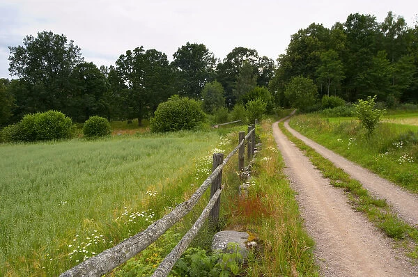 Country road, wooden fence and field. Through the forest. Smaland region. Sweden, Europe