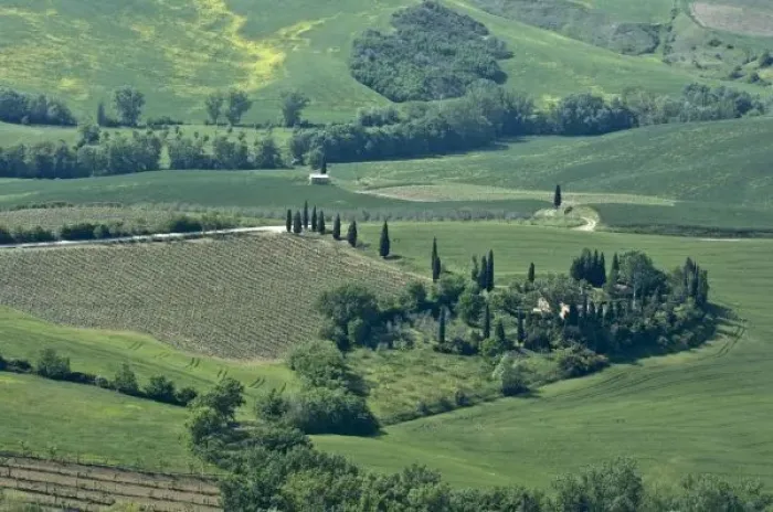 Framed Print : Countryside near Montepulciano, Val d Orcia, Siena province, Tuscany, Italy Framed Print : Countryside near Montepulciano, Val d Orcia, Siena province, Tuscany, Italy