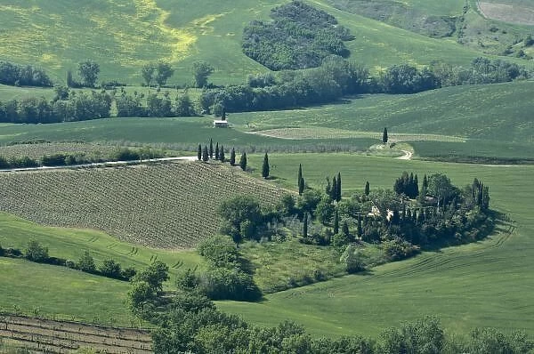 Countryside near Montepulciano, Val d Orcia, Siena province, Tuscany, Italy