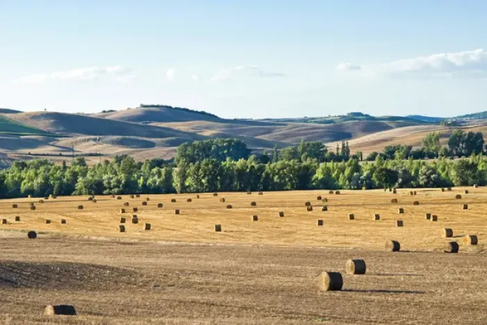 Framed Print : Countryside near San Qurico d Orcia, Siena, Tuscany, Italy