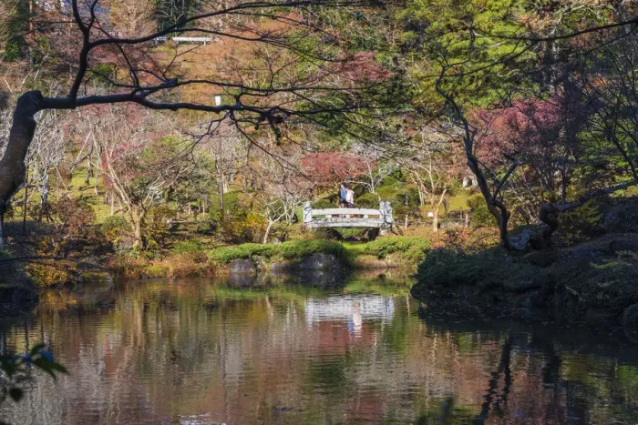 Framed Print : Couple walking across a bridge over a pond in the Narita Temple Garden