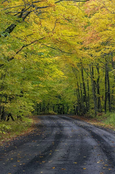 Covered Road near Houghton in the Upper Peninsula of Michigan, USA