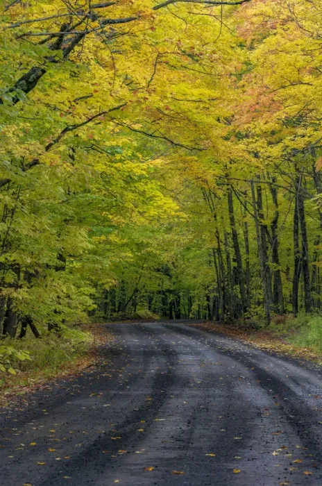 Framed Print : Covered Road near Houghton in the Upper Peninsula of Michigan, USA Framed Print : Covered Road near Houghton in the Upper Peninsula of Michigan, USA
