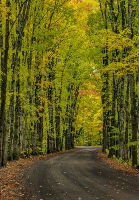 Framed Print : Covered road near Houghton in the Upper Peninsula of Michigan, USA Framed Print : Covered road near Houghton in the Upper Peninsula of Michigan, USA