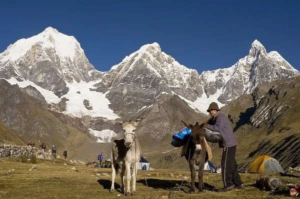 Cowboy packing mules at Lake Carhuacocha; Siula Grande, Mount Yerupaja and Jirishanca in background