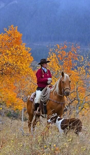 A cowgirl on her horse with her dog in a fall landscaped area of Shell Wyoming IN the Big Horn MT