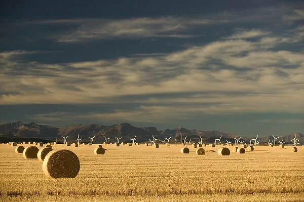 02. Canada, Alberta, Crowsnest Pass Area: Cowley Ridge Wind Farm Landscape with Hayrolls