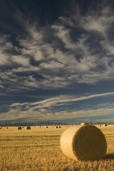 02. Canada, Alberta, Crowsnest Pass Area: Cowley Ridge Wind Farm Landscape with Hayrolls