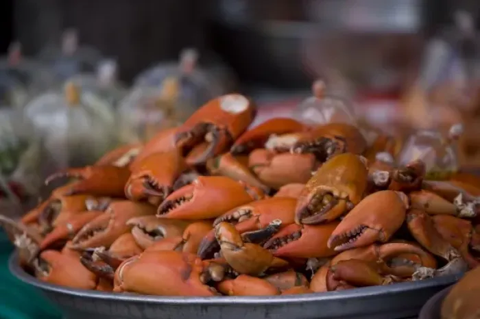 Framed Print : Crab Claws in Bangkok Market Framed Print : Crab Claws in Bangkok Market